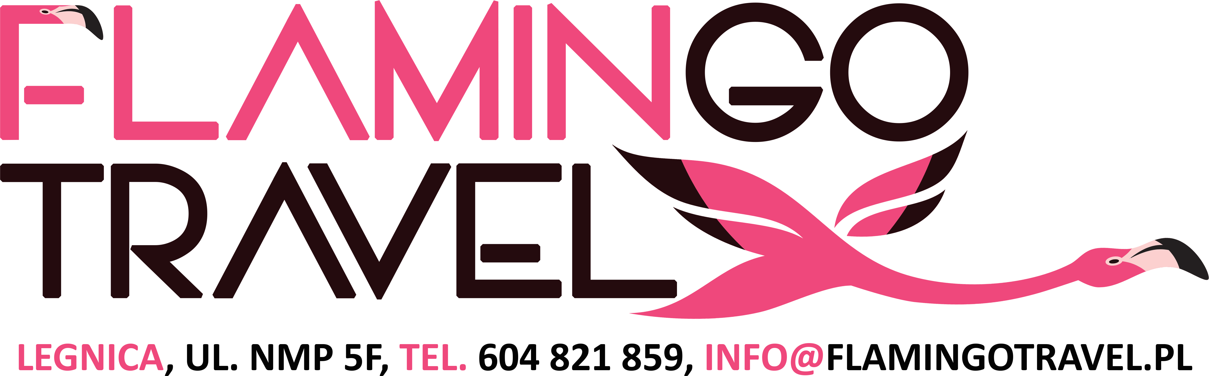 Logo FLAMINGO TRAVEL Z DANYMI